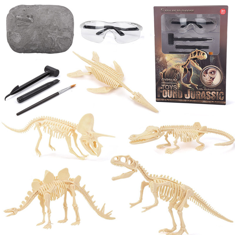 Model Kit Dinosaur - Dinosaur Fossil Excavation Kit STEM Excavates