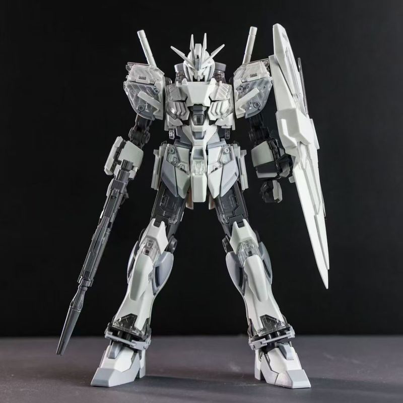 Model Kit Japan - HG1/144 Narrative C Coating Action Figures