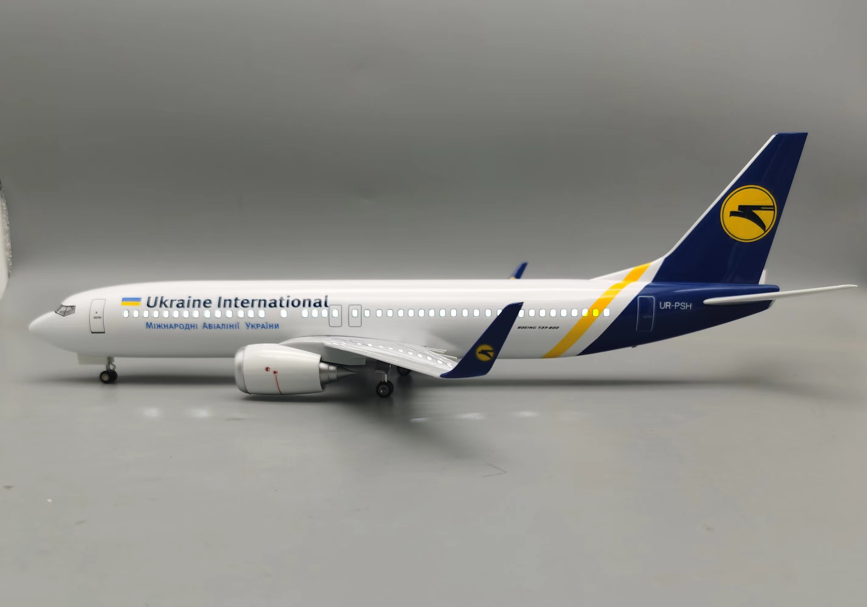 1/85 Large Scale Ukraine B737  - Model Kit Ukraine 评论和价格
