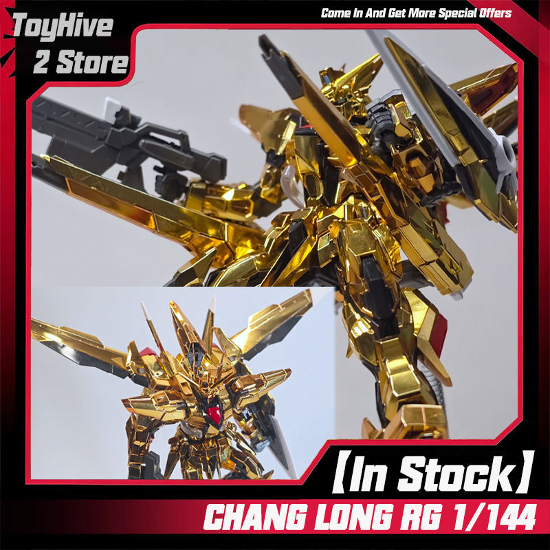 【In Stock】CHANGLONG 5506 RG 1/ - Model Kit Rg 评论和价格