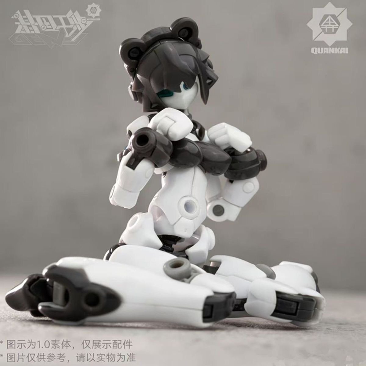 Kit Gene Interference Series Q - Model Kit China 评论和价格