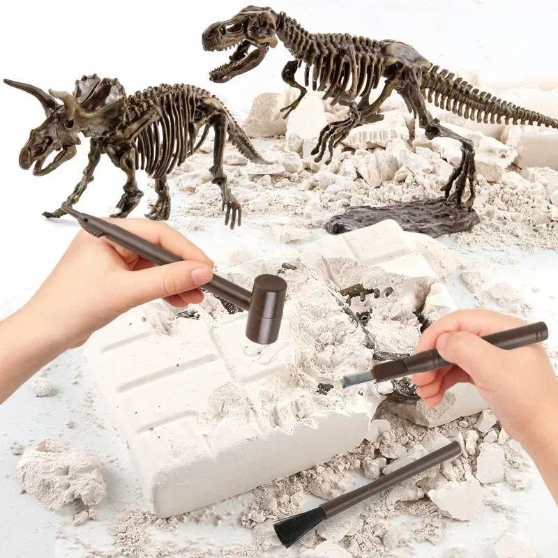 Dinosaur Excavation Fossil Arc - Model Kit Dinosaur 评论和价格