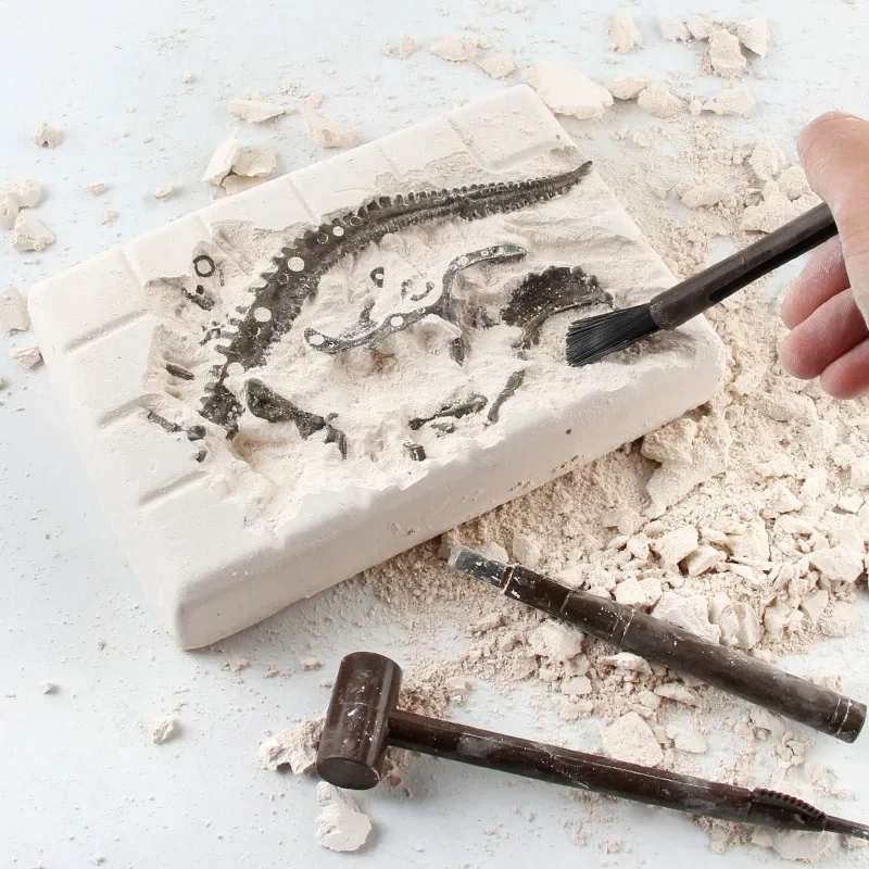 Dinosaur Excavation Fossil Arc - Model Kit Dinosaur 评论和价格