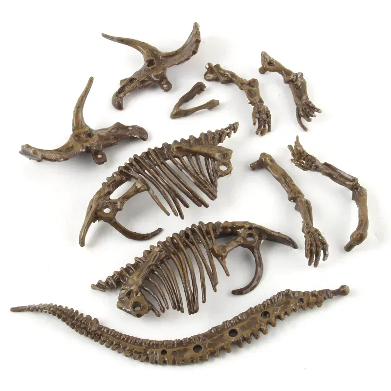 Dinosaur Excavation Fossil Arc - Model Kit Dinosaur 评论和价格