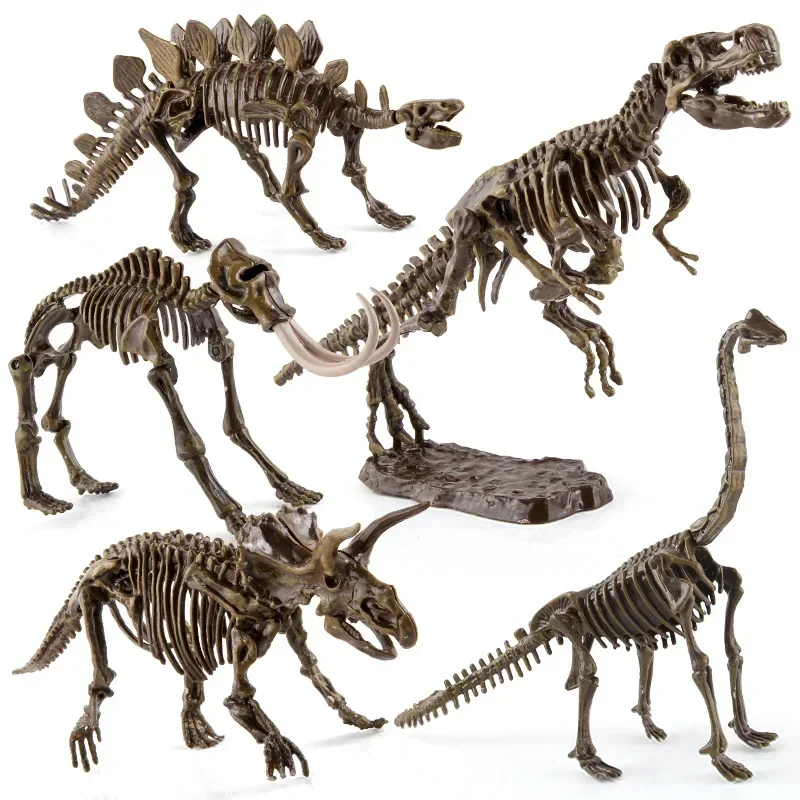 Dinosaur Excavation Fossil Arc - Model Kit Dinosaur 评论和价格