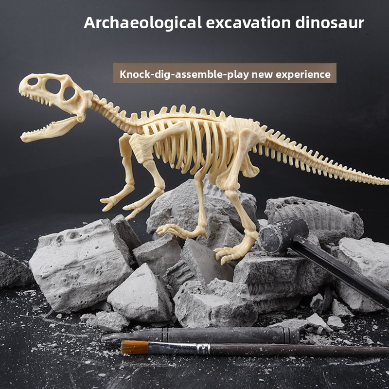 Dinosaur Fossil Excavation Kit - Model Kit Dinosaur 评论和价格